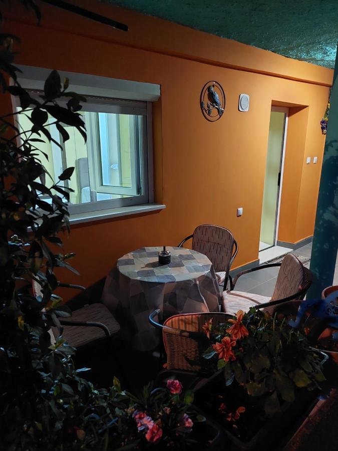 Mexicana Apartment Yellow Zadar Eksteriør bilde